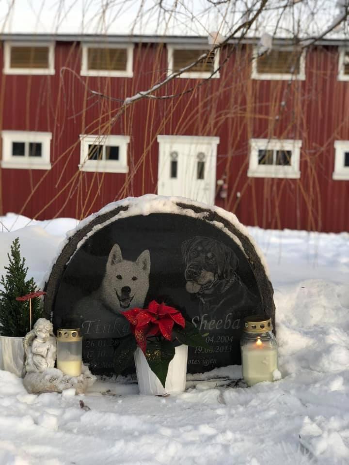 Gardsopphold Notodden Apartman Kültér fotó